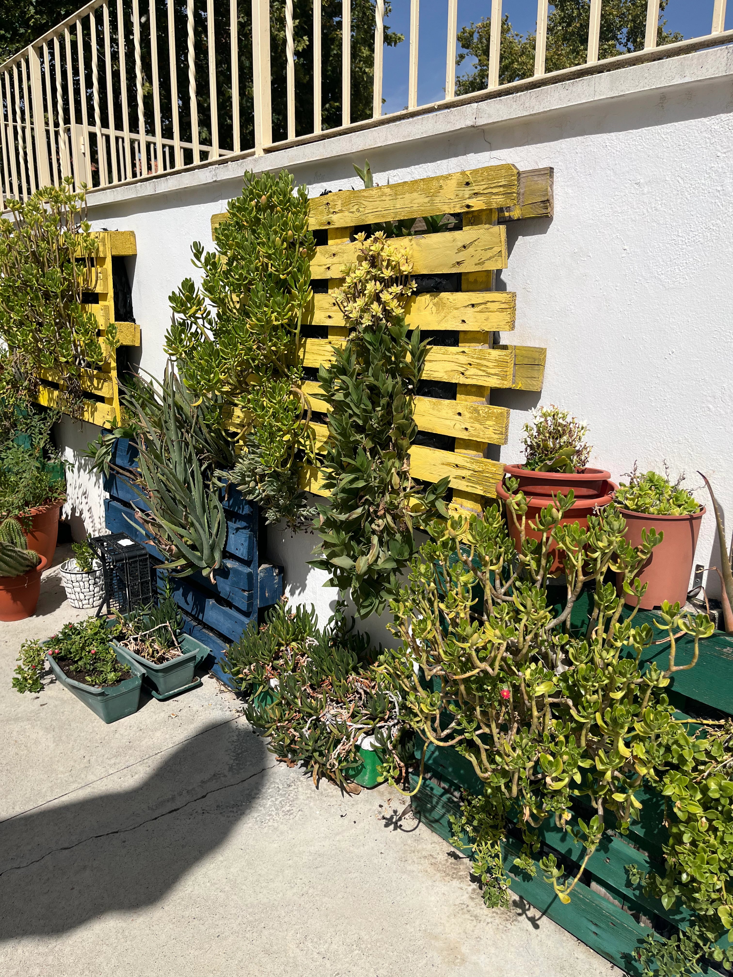 Rincón del patio con plantas y macetas sobre un jardín vertical de madera